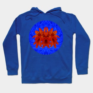 Flower head Hoodie